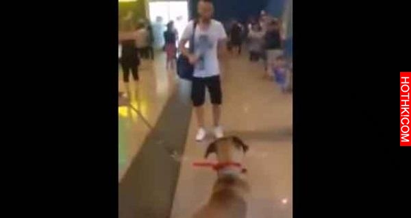 3年不見男主人突然出現眼前，狗的反應讓所有人熱淚盈眶！
