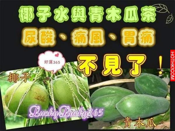 原來椰子水與青木瓜茶這麼強，治尿酸、痛風與胃痛都這麼有效！！ ...