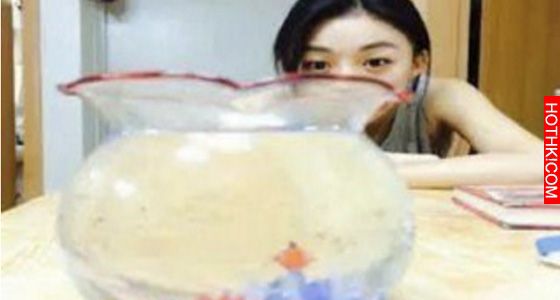 以後別趴在魚缸旁邊看魚了，天哪！原來是這樣…