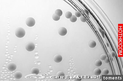 念珠菌陰道炎(VVC)--不能說的秘密