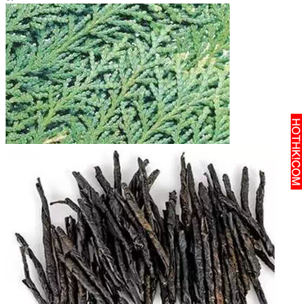 10塊錢就能治好你的白頭髮，太厲害了！每天都洗一洗，兩三天就能發現新生的頭髮了！ ...