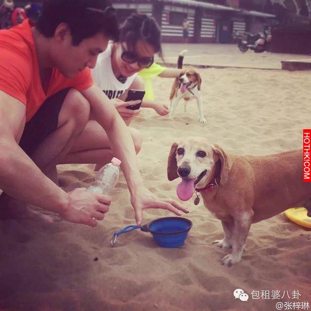 1米82的張梓琳懷孕了，老公1米93，這一家三口是要輾壓娛樂圈嗎