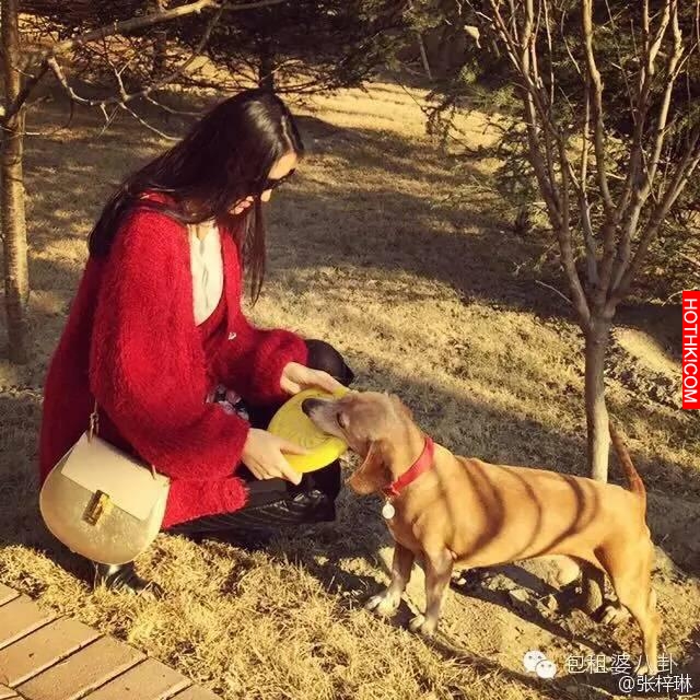 1米82的張梓琳懷孕了，老公1米93，這一家三口是要輾壓娛樂圈嗎
