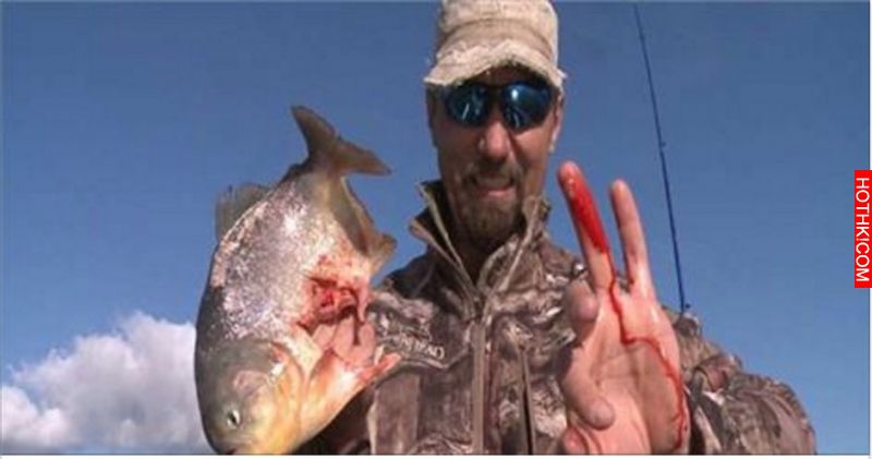「食人魚」有多麼恐怖大家都知道！看似沒有「天敵」的它們最害怕的其實就是... ...