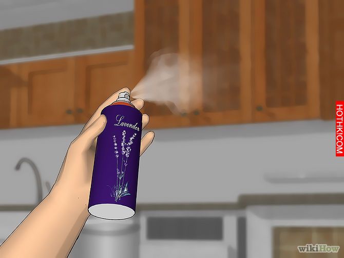 Kill Fruit Flies Step 16.jpg