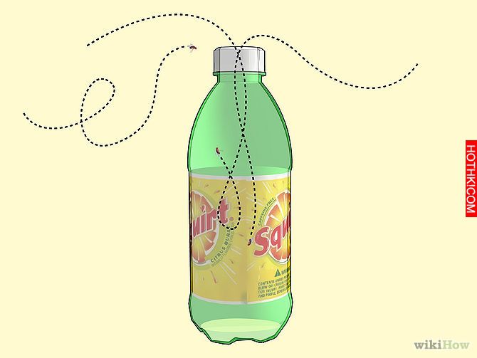 Kill Fruit Flies Step 9.jpg