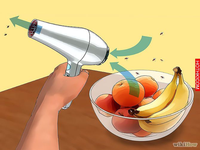 Kill Fruit Flies Step 2.jpg