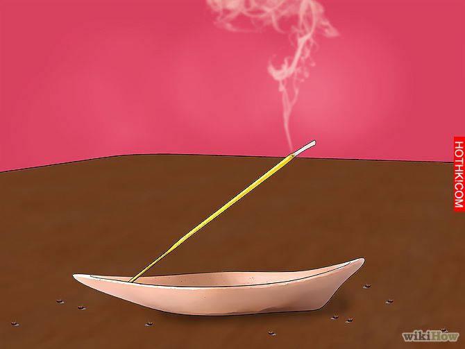 Kill Fruit Flies Step 3.jpg