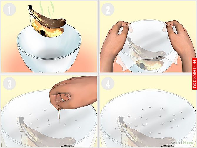 Kill Fruit Flies Step 4.jpg