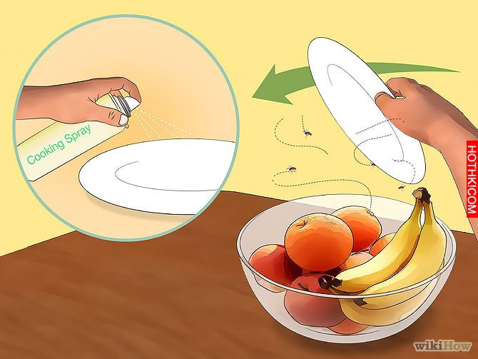 Kill Fruit Flies Step 1.jpg