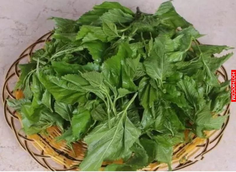 只要幾塊錢就能治好你的白頭髮，太厲害了！