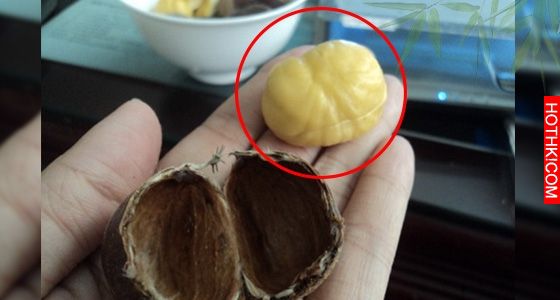 超簡單！終於知道「剝栗子」最快速的方法！只要5秒鐘，10顆一次全剝好！快看怎麼做！ ...