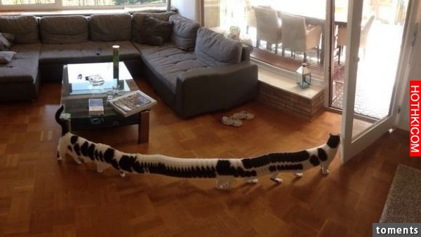 Diese Bestie:
