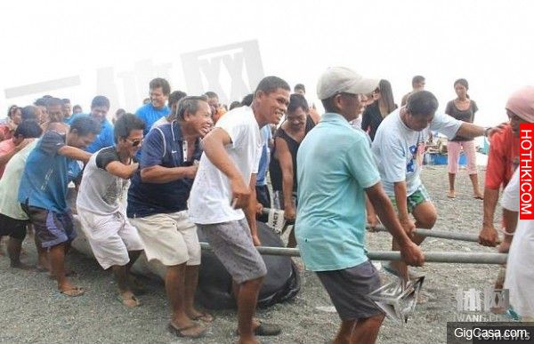 退潮後漁民驚見一隻「人臉巨獸」，近距離看竟...！在場所有人都傻了，連科學家都說不出話...