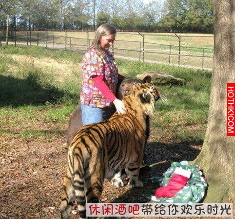毒梟買下三隻猛獸想看他們自相殘殺，最後的結果讓你想像不到