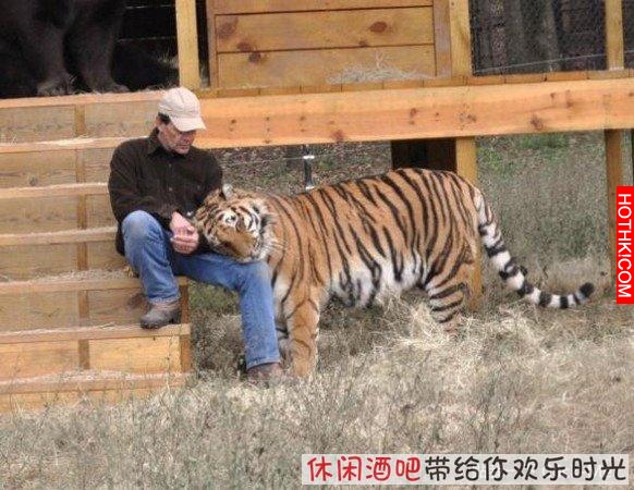 毒梟買下三隻猛獸想看他們自相殘殺，最後的結果讓你想像不到