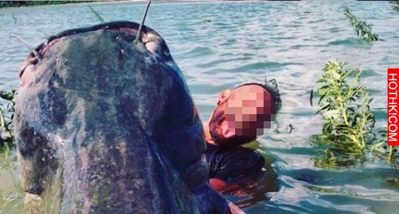 驚！他出海釣到這隻百公斤的大鯰魚！正得意時鯰魚張開口..接下來竟發生?! 網友看了全 ...