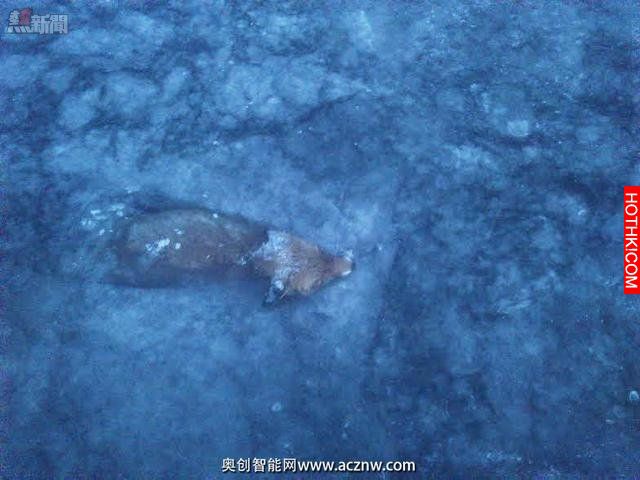 一男子去結冰的湖面上滑冰 然後在湖裡發現了可怕的一幕