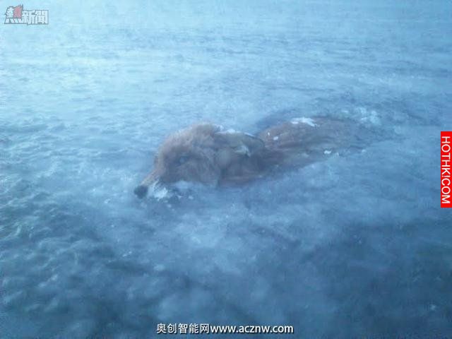 一男子去結冰的湖面上滑冰 然後在湖裡發現了可怕的一幕