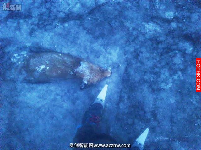 一男子去結冰的湖面上滑冰 然後在湖裡發現了可怕的一幕