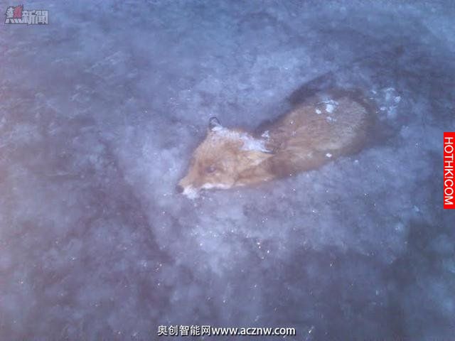 一男子去結冰的湖面上滑冰 然後在湖裡發現了可怕的一幕