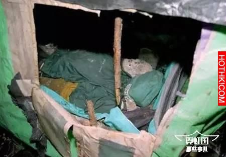 500多日本人選擇在同一片森林裡自殺，揭秘自殺森林之謎