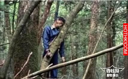 500多日本人選擇在同一片森林裡自殺，揭秘自殺森林之謎