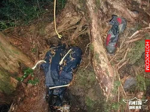 500多日本人選擇在同一片森林裡自殺，揭秘自殺森林之謎