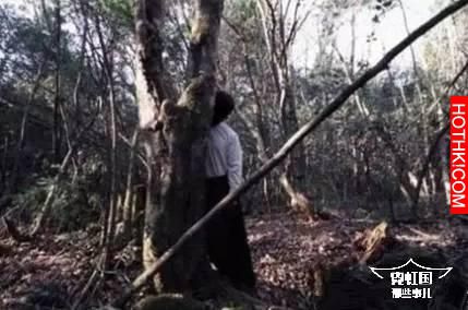 500多日本人選擇在同一片森林裡自殺，揭秘自殺森林之謎