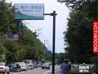 500多日本人選擇在同一片森林裡自殺，揭秘自殺森林之謎