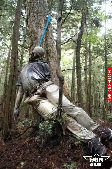 500多日本人選擇在同一片森林裡自殺，揭秘自殺森林之謎