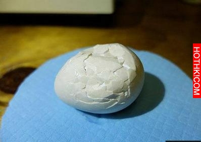 女子把碎裂的鳥蛋用膠帶粘起來，沒想到竟還能孵出長這樣子的小鳥