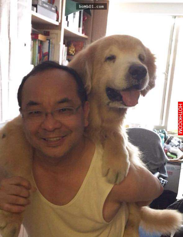 主人發現11歲的黃金愛犬漸漸老去後，決定每一天都要讓毛小孩笑到見牙不見眼… ...