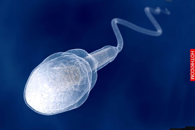 兄弟，你敢說你的精子「都是活的」嗎？四個習慣讓男人「再難當爸」！！ ...