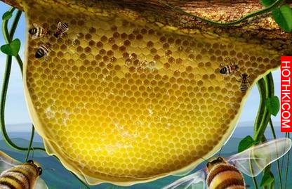 有這方法70歲毛孔不粗大 不長皺紋不顯老