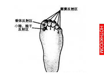 老年癡呆很可怕，預防原來這麼簡單，99%的人不知道