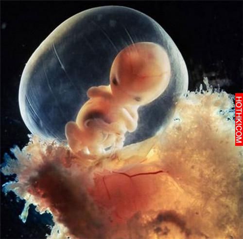 男人液體進入女人體內的全過程，太震撼了…