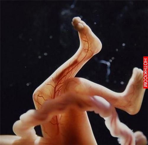 男人液體進入女人體內的全過程，太震撼了…