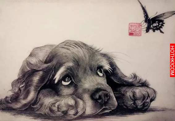 越老越有錢花的4大生肖，看看有你嗎？竟然又有這個生肖了！ ...