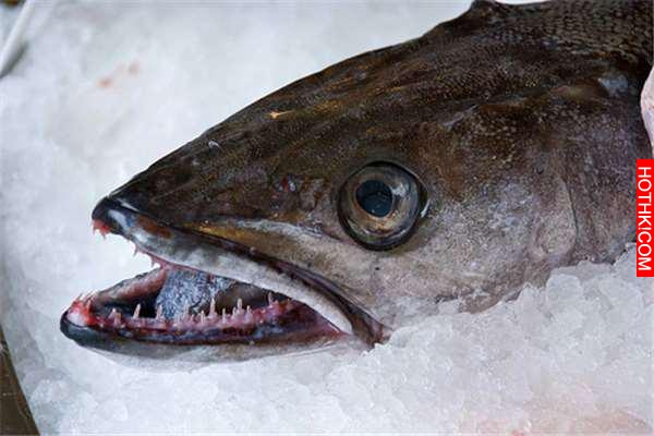 釣魚時水面下居然出現了一個巨大猙獰的笑臉，真面目實在太嚇人！