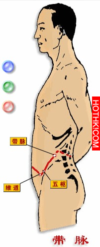 只要每天拍拍“它” 減肥排毒婦科病全解決