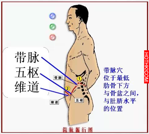 只要每天拍拍“它” 減肥排毒婦科病全解決