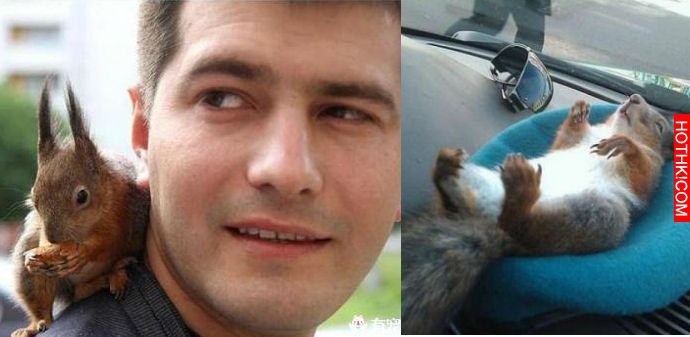 當這個帥兵大哥收養了一隻被遺棄的松鼠小寶寶後...故事就這麼發生了！ ...