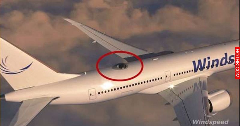 為了滿足客戶需求，美國航空公司居然在頂部蓋了「這個」....坐在裡面根本美夢成真了嘛 ...