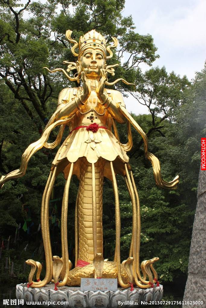 以殺蛇盈利的龍虎飯店.在抓到一條金色蛇王后發生了這樣的事‧‧‧滿院子都是蟒蛇‧‧蛇王竟然這樣對待那個人 太恐怖了‧‧‧！