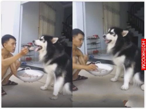 点此看大图片 点此看大图片