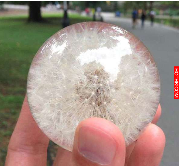 只要一個扭蛋和OO，就能做出超美的「蒲公英」水晶球！！而且好簡單… ...
