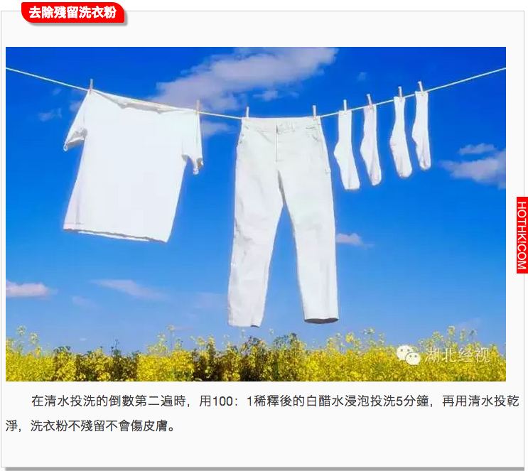 100%的人都做錯了！衣服這樣洗才正確，做對了，比洗衣店洗的乾淨100倍！ ...