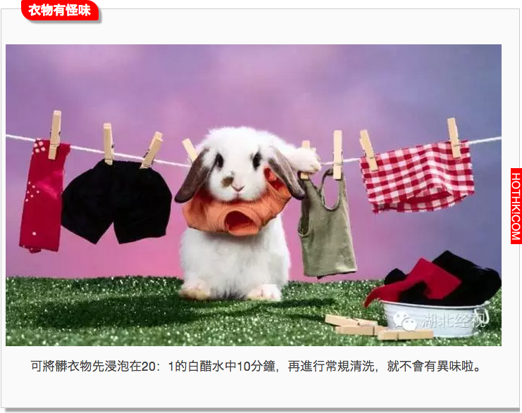 100%的人都做錯了！衣服這樣洗才正確，做對了，比洗衣店洗的乾淨100倍！ ...