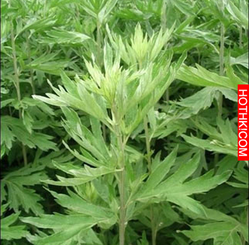 腳上老皮、老繭不用慌，教你使用小妙方，三天就讓你的腳粉嫩得像嬰兒一樣！ ...